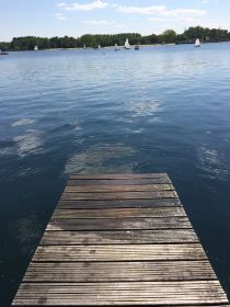 IMG_3149.jpg